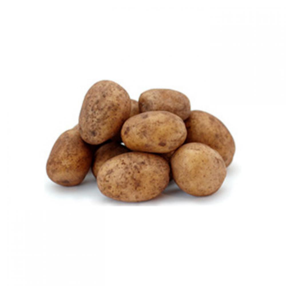 Kartoffel Linda festkochend 1kg