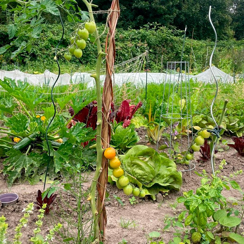 Ganze + halbe Mietgarten Parzelle ganzjährig 2026