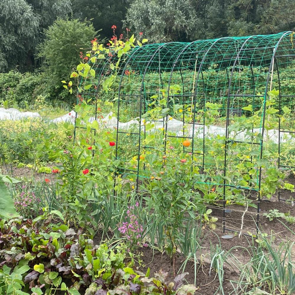Mietgarten Parzelle ganzjährig 2027